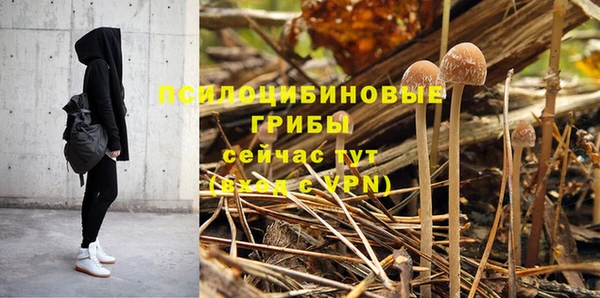 мяу мяу кристалл Переславль-Залесский