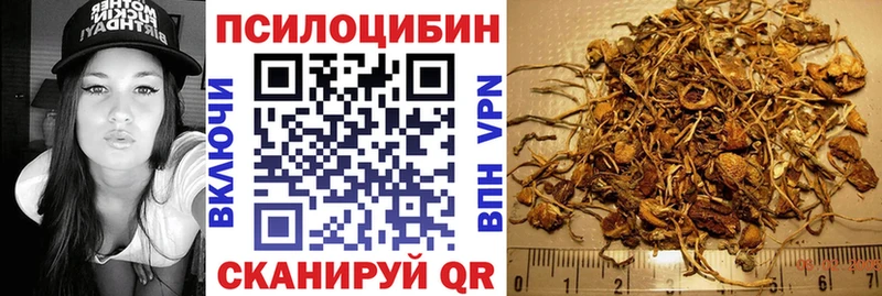 Псилоцибиновые грибы MAGIC MUSHROOMS Багратионовск